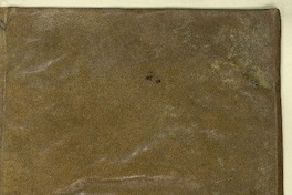 Naturæ historiarum libri XXXVII