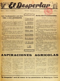 El Despertar (Nancagua, Chile)