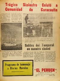 El pehuén (Curacautín, Chile : 1980)