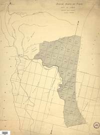 Rejión norte de Tirúa.