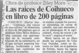 Las raíces de Coihueco en libro de 200 páginas.