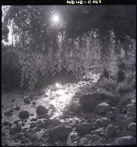 Contraluz en río Choapa, en la localidad de Salamanca.