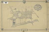 Plano de la ciudad de San Fco. de Limache.