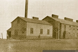 Grasería de la Estancia San Gregorio, 1920.