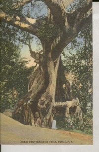 [Tarjeta postal] [1949] [abr.], 303 Canals, St. Santurce, Puerto Rico [a la] Srta. Gabriela Mistral, Hotel Salmones, Jalapa, Ver., México