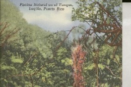 [Tarjeta postal] [1949?] [abr.?], 303 Canals, Santurce, Puerto Rico [a la] Srta. Gabriela Mistral, Hotel Salmones, Jalapa, Ver., México