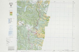 Pucón 3900-7030: carta terrestre