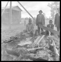 Chile Sul (Sur de Chile) Osorno