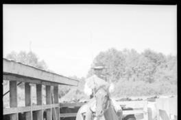 Chile zona de Talca al Sul (Sur) de Santiago