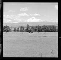 Chile Pucón Villarrica Vulcao Sul