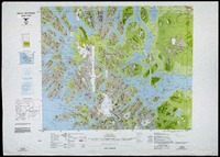 Seno Skyring (52° 00' - 72° 00') Carta terrestre
