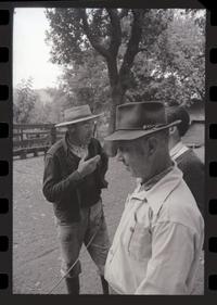 Trabajo agrícola en Talca