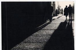 Concepción [a] contraluz