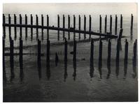 Cuadernas de barco hundido en Punta Arenas