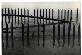 Cuadernas de barco hundido en Punta Arenas