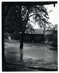 Camino a Constitución en día de lluvia