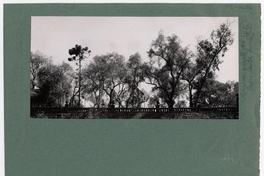 Terraza oriente del Cerro Santa lucía