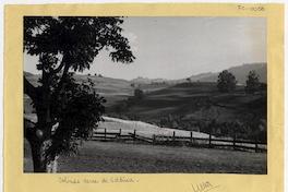 Colinas cerca de Valdivia