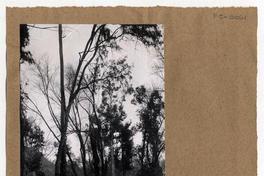 [Paraje] entre Unión y Valdivia