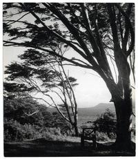 Estrecho de Magallanes