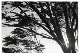 Estrecho de Magallanes