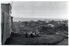 Arrabales al sur de Punta Arenas