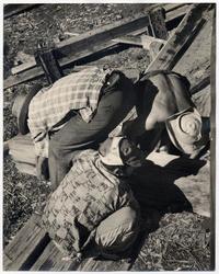 [Trabajadores en sus labores de construcción en el astillero]