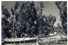 En el canal formado por una de las islas del Maule vemos los astilleros donde se construyen lanchas y faluchos, famosos desde 1794. Estas lanchas llegaron hasta Panamá y San Francisco de California