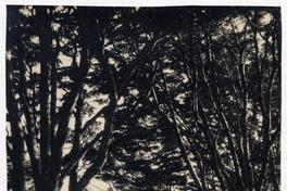 Zona Fuerte Bulnes [en el] Estrecho de Magallanes