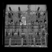 [Vista general de la Central Hidroeléctrica Sauzal]