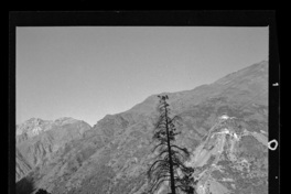 [Desarrollo de las tuberías desde la chimenea de equilibrio hasta la central y el entorno con gran vegetación en que predominan los cipreses]