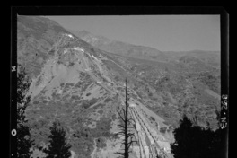 [Desarrollo de las tuberías desde la chimenea de equilibrio hasta la central y el entorno con gran vegetación en que predominan los cipreses]