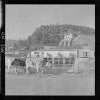 [Panorámica de la Central Hidroeléctrica Pullinque y el paisaje circundante]