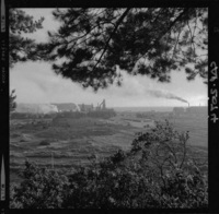 [Compañía de Acero del Pacífico : Planta Siderúrgica de Huachipato]