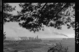 [Compañía de Acero del Pacífico : Planta Siderúrgica de Huachipato]