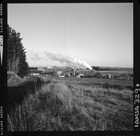 Iansa (Chile) : Planta Rapaco