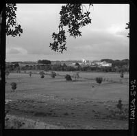 [Iansa (Chile) : Planta Rapaco]