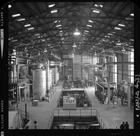 Iansa (Chile) : Planta Rapaco