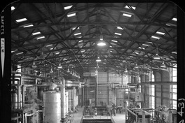 Iansa (Chile) : Planta Rapaco