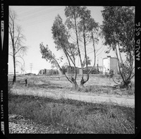 Iansa (Chile) : Planta Curicó