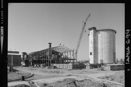 Iansa (Chile) : Planta Curicó