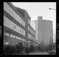 [Iansa (Chile) : Planta Linares]