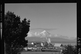 [Iansa (Chile) : Planta Llanquihue]