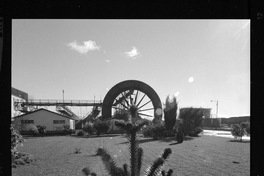 [Iansa (Chile) : Planta llanquihue]