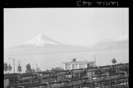 [Iansa (Chile) : Planta llanquihue]