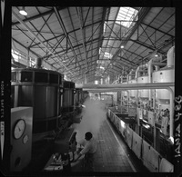 [Iansa (Chile) : Planta Llanquihue]