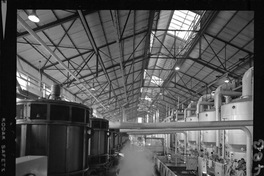 [Iansa (Chile) : Planta Llanquihue]