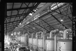 [Iansa (Chile) : Planta Llanquihue]