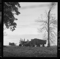 [Iansa (Chile) : Cosecha de remolacha azucarera en la Planta Llanquihue]