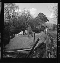 [Iansa (Chile) : Planta Llanquihue]